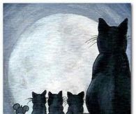 Moon watching