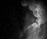 You and the stars