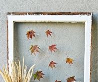 Old Window with Leaves Brings the Outside In