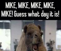 Guess what day it is