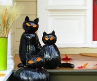 Black Cat Pumpkins
