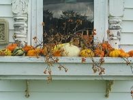 Fall Window Box