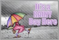 It's a rainy day here