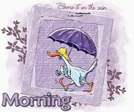 Morning Blame it on the Rain