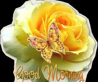 Good Morning