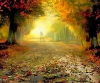 Autumn glow