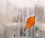 Rain Drizzling down a Window