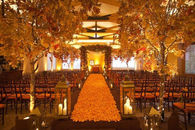 Autumn Wedding