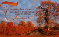 To Everything there is a season and a time to every purpose under heaven