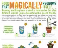 Food that regrows itself