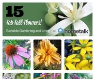15 Fab Fall Flowers