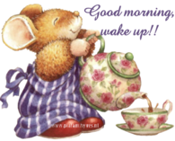 Good Morning Wake Up