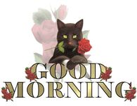 Good Morning