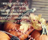 I would rather sit on a pumpkin and have it to myself....