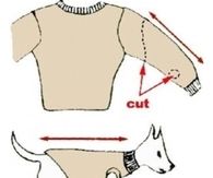 Turn Old Sweater Into Pet Clothes