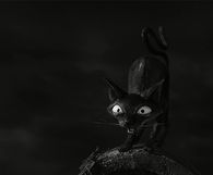 Scary cat