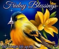 Friday Blessings