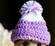 Cutest Puppy in Purple Winter Hat