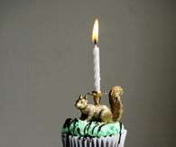 DIY Party Animal Candles