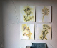 DIY Wildflower Wall Art