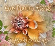 Good Morning Friends