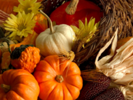 White and orange pumpkins