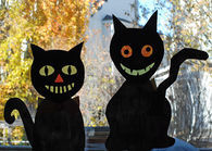 Halloween crazy cats