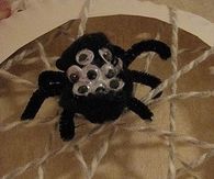 Spider web craft