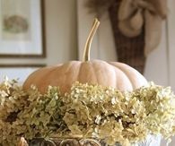 White Pumpkins & Hydrangeas in Silver Bowl
