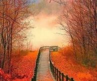 Autumn Path