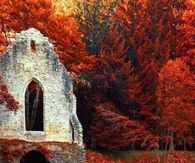 Red Autumn in Chamonix, Rhone Alpes, France