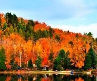 Autumn at the Boat Dock