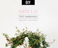 Plastic Botle Cat Planter
