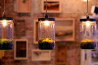 Pendant terrarium lamps