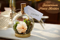 DIY Terrarium Place Holder