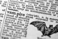Vampire definition