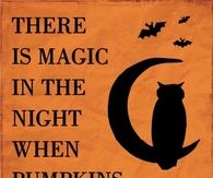 When pumpkins glow by moonlight