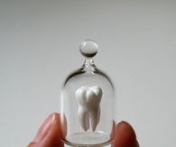Tooth in a jar