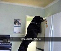 He found the treats