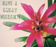 Have a great weekend