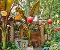 Cute Backyard Bar