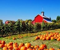 Happy Fall
