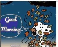 Good Morning