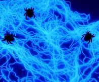 Edible glowing spiderwebs