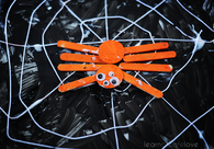 Spider web and spider craft