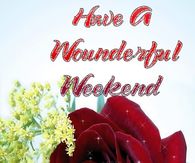 Have a wonderful weekend