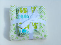 Baby blanket and bib cloths set