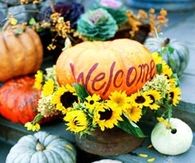 welcome