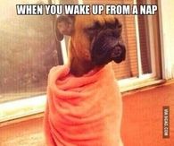 When you wake up from a nap