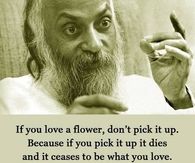 Love is about appreciation